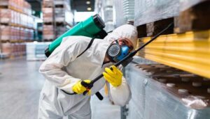 empresas de control de plagas en lima