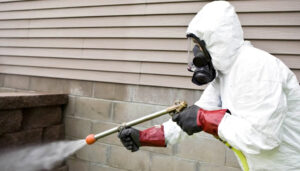 desinfección para covid o coronavirus