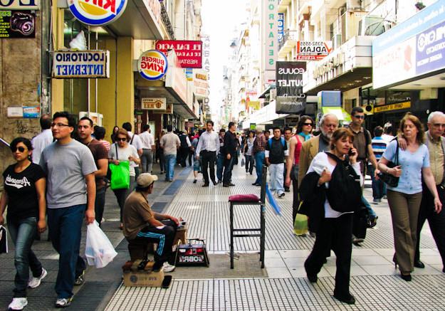 ¿Conoces cuáles son las plagas más frecuentes en las ciudades?