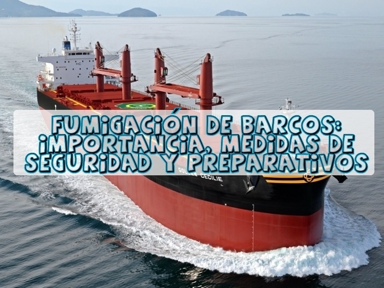 Fumigación de barcos: Importancia, medidas de seguridad y preparativos