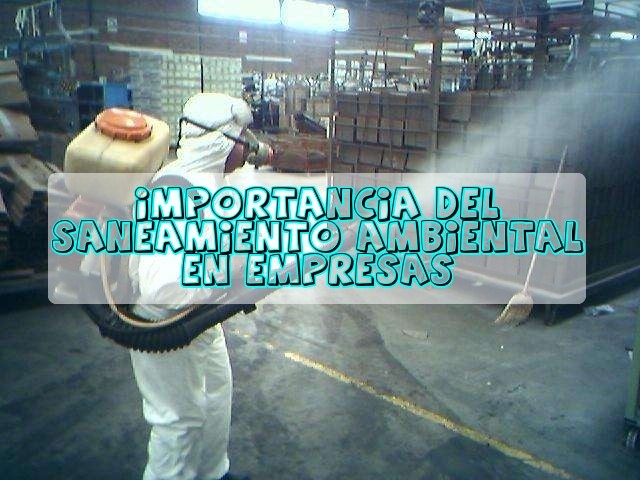 Saneamiento ambiental: ¿Por qué deben realizarlo las empresas?