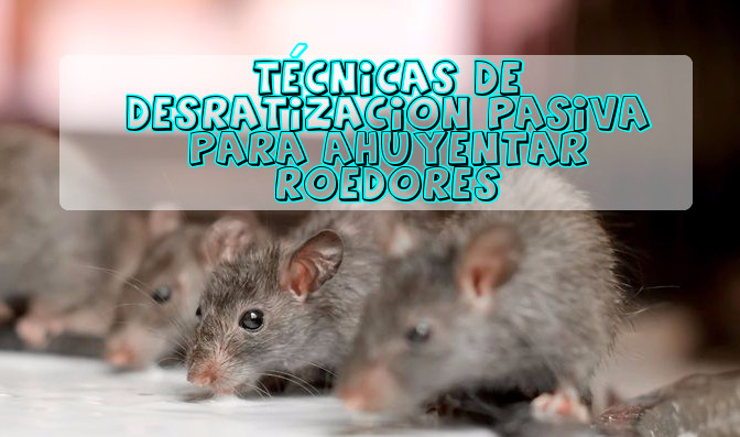 Técnicas de desratización pasiva efectivas para ahuyentar ratas, ratones y pericotes