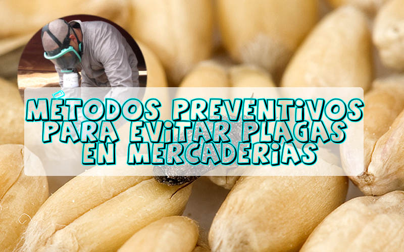 ¿Qué métodos preventivos emplear para evitar plagas en mercaderías?
