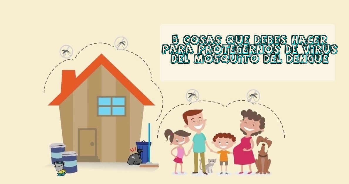 5 cosas que debes hacer para protegernos de virus del mosquito del dengue