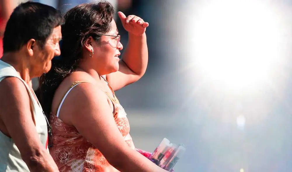 Las plagas más comunes en Lima durante el verano y cómo prevenirlas a tiempo